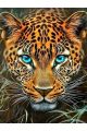 Алмазная мозаика без подрамника «Взгляд леопарда» 25x20 см