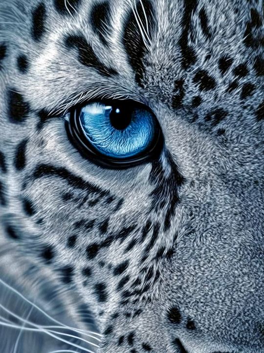 Алмазная мозаика без подрамника «Снежный барс» 35x25 см