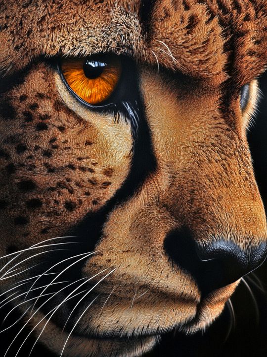 Алмазная мозаика без подрамника «Взгляд гепарда» 70x50 см