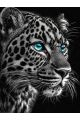 Алмазная мозаика без подрамника «Черный леопард» 70x50 см