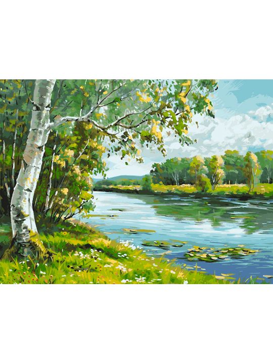 Картина по номерам без подрамника «Береза у реки» 130x100 см