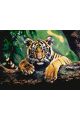 Картина по номерам без подрамника «Тигренок» 80x60 см