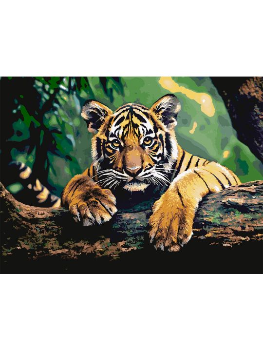 Картина по номерам без подрамника «Тигренок» 130x100 см