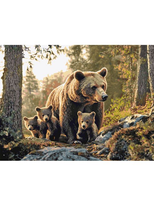 Картина по номерам без подрамника «Медведица» 80x60 см