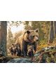 Картина по номерам без подрамника «Медведица» 130x100 см