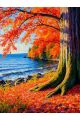 Алмазная мозаика без подрамника «Побережье» 80x60 см