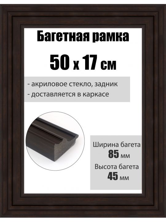 Рамка багетная для картин со стеклом 50 x 17 см, РБ-295