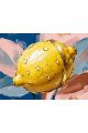 Алмазная мозаика без подрамника «Капли солнца» 70x50 см