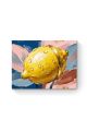 Алмазная мозаика на подрамнике «Капли солнца» 50x40 см