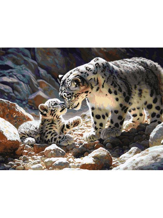 Картина по номерам без подрамника «Снежные барсы» 80x60 см
