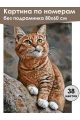 Картина по номерам без подрамника «Рыжий кот» 80x60 см