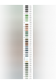 Картина по номерам на подрамнике «Подснежники» 80x60 см