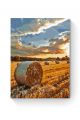 Картина по номерам на подрамнике «Сено на поле» 80x60 см