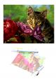 Алмазная мозаика «Котёнок и цветы» 