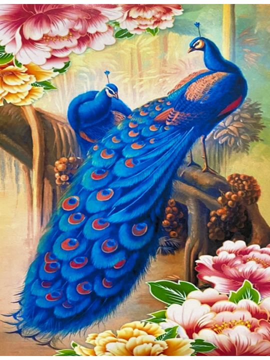 Картина по номерам  на подрамнике «Птицы счастья» 