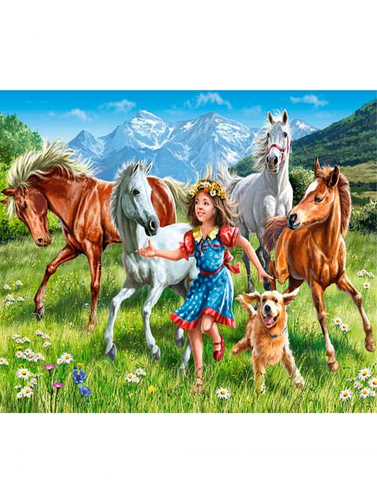 Картина по номерам  на подрамнике «Девочка и кони»