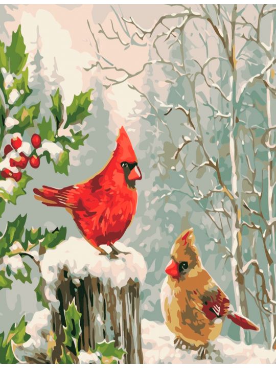 Картина по номерам  на подрамнике «Птицы кардиналы» 