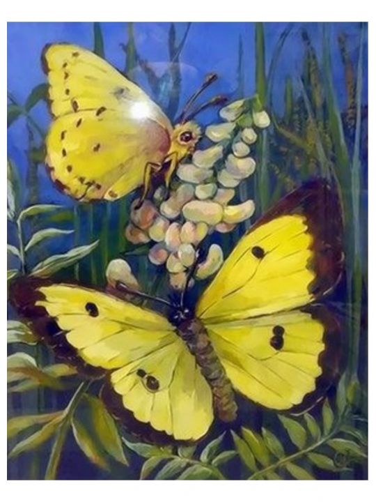 Картина по номерам «Бабочки в живописи» 