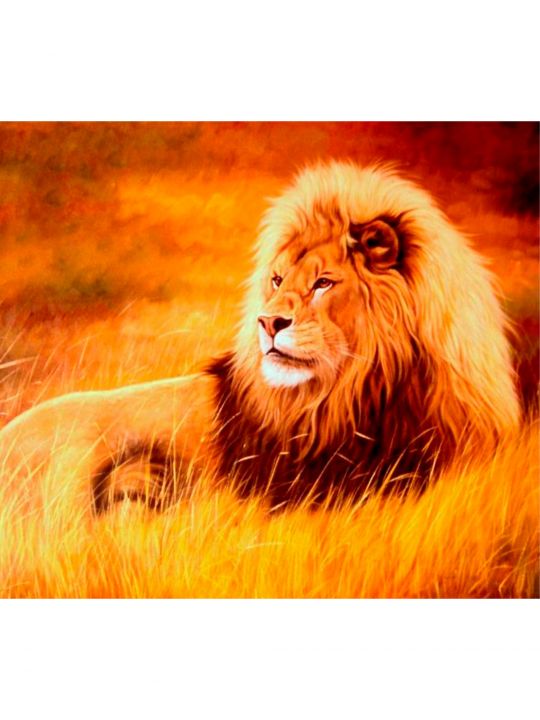 Картина по номерам «Царь зверей» 