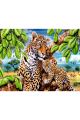Картина по номерам «Семейство леопардов» 