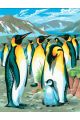 Картина по номерам  на подрамнике «Пингвины»