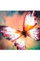 Алмазная мозаика «Бабочка красок» 