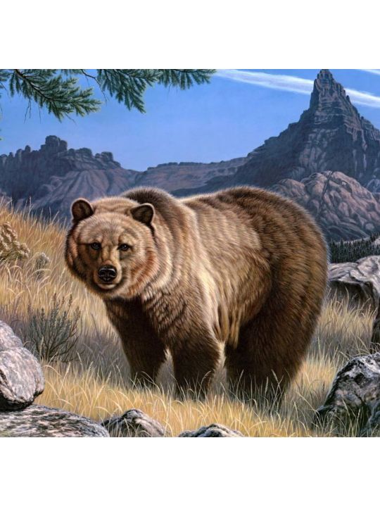 Алмазная мозаика на подрамнике «Медведь» 
