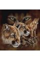 Алмазная мозаика на подрамнике «Горная львица» 