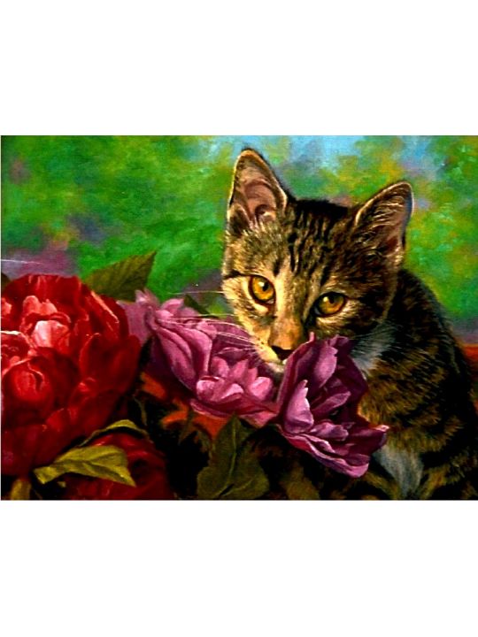 Алмазная мозаика на подрамнике «Кошка и цветы» 