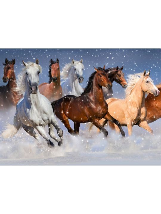 Картина по номерам на подрамнике «Дикие лошади в снегу» холст, 50 x 40 см