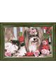 Картина по номерам на подрамнике «Собачка с бантиком в цветах» холст, 40 x 30 см