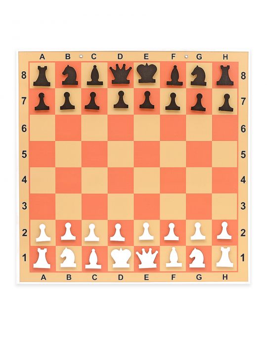 Демонстрационные шахматы «Школьник» 62x62 см