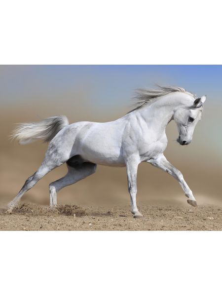 Алмазная мозаика без подрамника «Белая лошадь» 70x50 см, 50 цветов