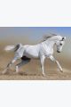 Алмазная мозаика без подрамника «Белая лошадь» 130x100 см, 50 цветов