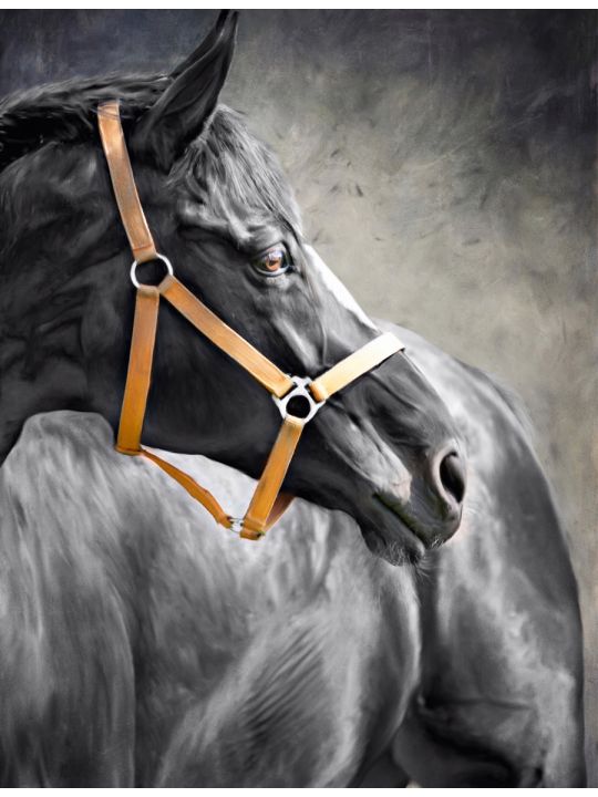 Алмазная мозаика без подрамника «Черная Лошадь» 40x30 см, 30 цветов