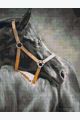 Алмазная мозаика без подрамника «Черная Лошадь» 50x40 см, 30 цветов