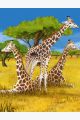 Алмазная мозаика без подрамника «Три Жирафа» 50x40 см, 30 цветов