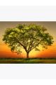 Алмазная мозаика без подрамника «Дерево в Лучах Заката» 50x40 см, 29 цветов