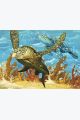 Картина интерьерная «Морские черепахи» холст 50 x 40