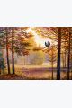 Картина интерьерная интерьерная «Лес в Солнечных Лучах» холст 40 x 30 см