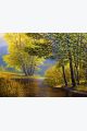 Картина интерьерная «Лесной Мотив» холст 40 x 30 см
