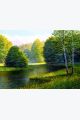 Картина интерьерная «Лесная Река» холст 40 x 30 см