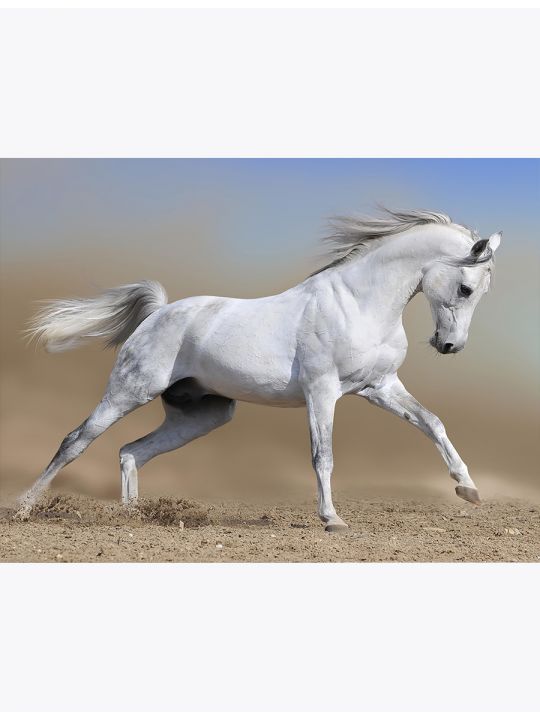 Алмазная мозаика без подрамника «Белая лошадь» 40x30 см, 50 цветов