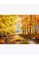 Алмазная мозаика без подрамника «Осенний лесной ручей» 40x30 см, 30 цветов