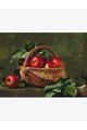 Алмазная мозаика без подрамника «Яблоки в корзинке» 40x30 см, 30 цветов