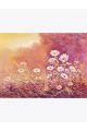 Алмазная мозаика без подрамника «Ромашки на рассвете» 50x40 см, 30 цветов