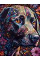 Алмазная мозаика без подрамника «Мистический пёс» 40x30 см, 30 цветов