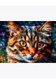 Алмазная мозаика без подрамника «Разноцветный кот» 40x30 см