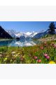 Алмазная мозаика без подрамника «Альпийские цветы» 130x100 см, 30 цветов