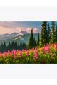 Алмазная мозаика без подрамника «Лето в Альпах» 50x40 см, 30 цветов